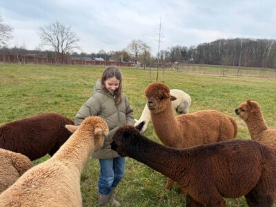 Alpaca-ervaring