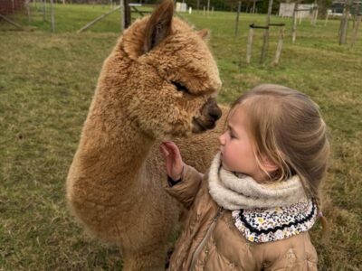 Alpaca-ervaring
