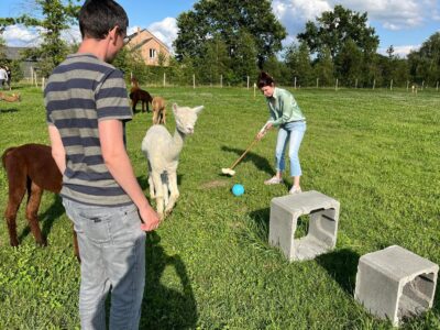 Boerderijgolf